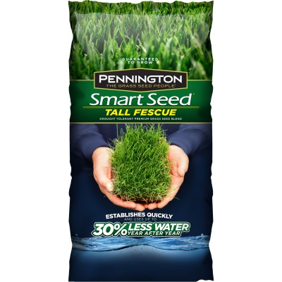Pennington Smart Seed Tall Fescue Grass Seed, 3 lbs   564077221